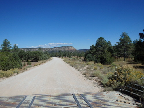 GDMBR: Cattle Guard.